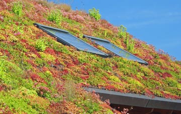 Hutton Henry living roof systems